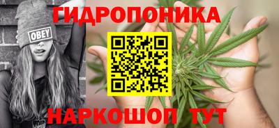 сатива Усть-Илимск