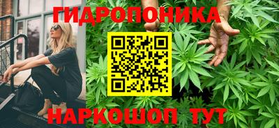 сатива Усть-Илимск