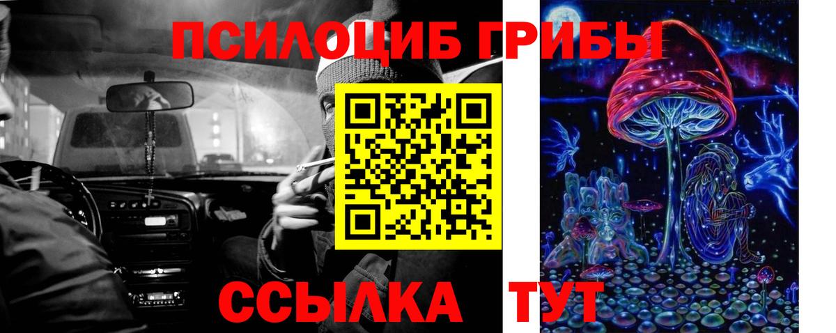 Галлюциногенные грибы Psilocybe Артёмовский