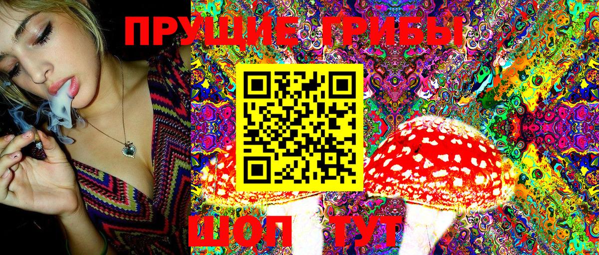 хочу наркоту  Псилоцибиновые грибы MAGIC MUSHROOMS  Вход с VPN  Псилоцибиновые грибы мицелий  Артёмовский 